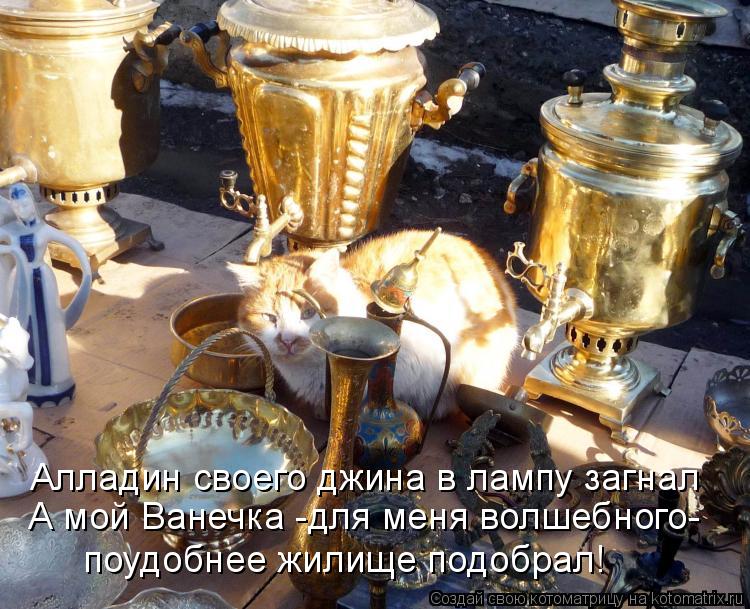 Алладин своего джина в лампу загнал А мой Ванечка -для меня волшебного- поудобнее жилище подобрал!... Котоматрица: Алладин своего джина в лампу загнал А мой Ванечка -для меня волшебного- поудобнее жилище подобрал!