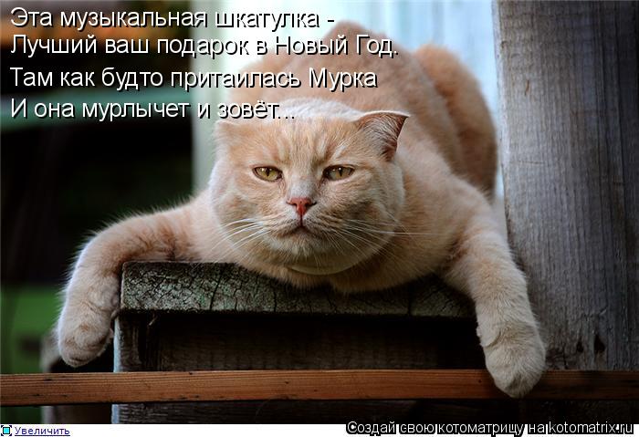 Эта музыкальная шкатулка - Лучший ваш подарок в Новый Год. Там как будто притаилась Мурка И она мурлы... Котоматрица: Эта музыкальная шкатулка - Лучший ваш подарок в Новый Год. Там как будто притаилась Мурка И она мурлычет и зовёт...