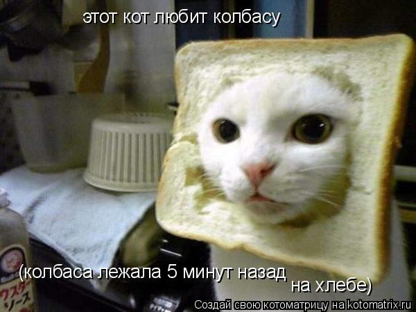 этот кот любит колбасу (колбаса лежала 5 минут назад (колбаса лежала 5 минут назад на хлебе)... Котоматрица: этот кот любит колбасу (колбаса лежала 5 минут назад (колбаса лежала 5 минут назад на хлебе)