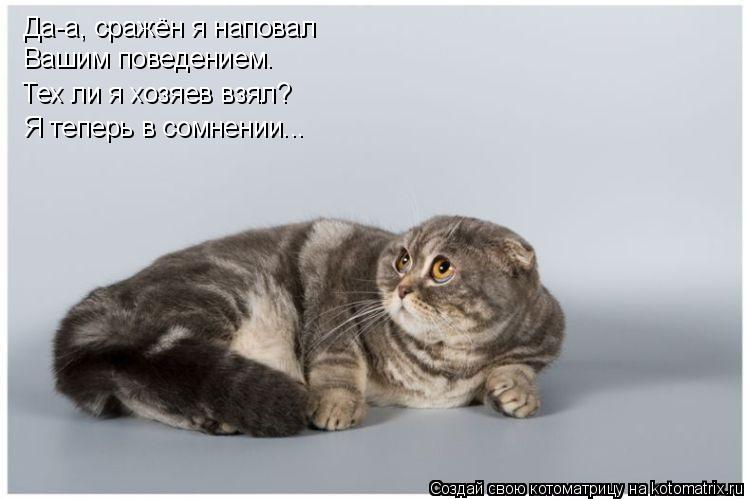 Да-а, сражён я наповал Вашим поведением. Тех ли я хозяев взял? Я теперь в сомнении...... Котоматрица: Да-а, сражён я наповал Вашим поведением. Тех ли я хозяев взял? Я теперь в сомнении...