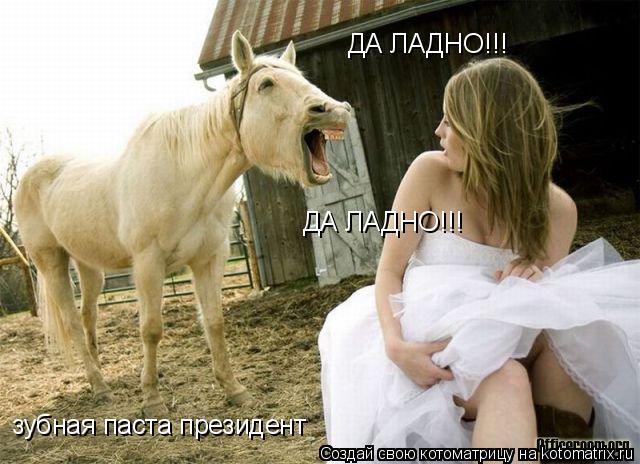 зубная паста президент ДА ЛАДНО!!! ДА ЛАДНО!!!... Котоматрица: зубная паста президент ДА ЛАДНО!!! ДА ЛАДНО!!!