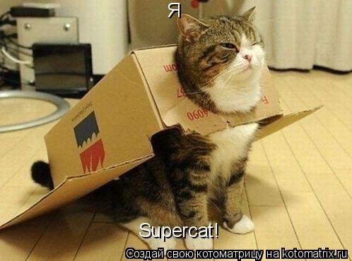 Котоматрица: Я Supercat!
