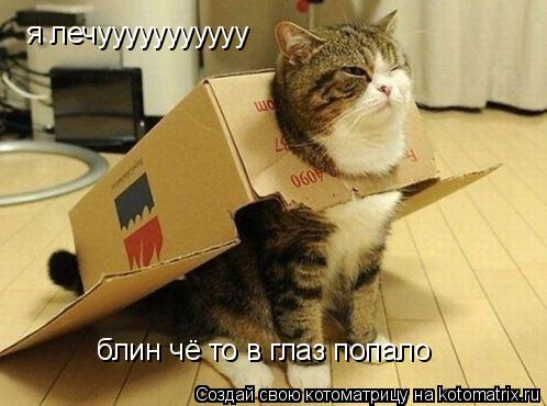 я лечууууууууууу блин чё то в глаз попало... Котоматрица: я лечууууууууууу блин чё то в глаз попало