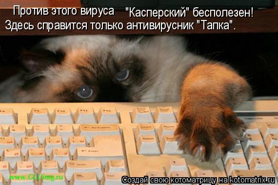 Против этого вируса "Касперский" бесполезен! Здесь справится только антивирусник "Тапка".... Котоматрица: Против этого вируса "Касперский" бесполезен! Здесь справится только антивирусник "Тапка".