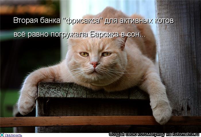 Вторая банка "фрисакса" для активных котов всё равно погружала Барсика в сон...... Котоматрица: Вторая банка "фрисакса" для активных котов всё равно погружала Барсика в сон...
