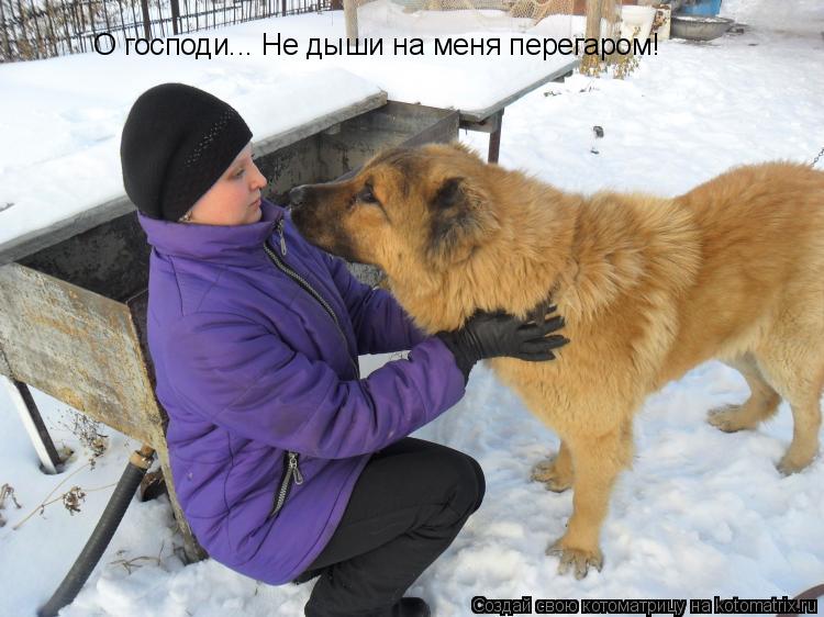О господи... Не дыши на меня перегаром!... Котоматрица: О господи... Не дыши на меня перегаром!