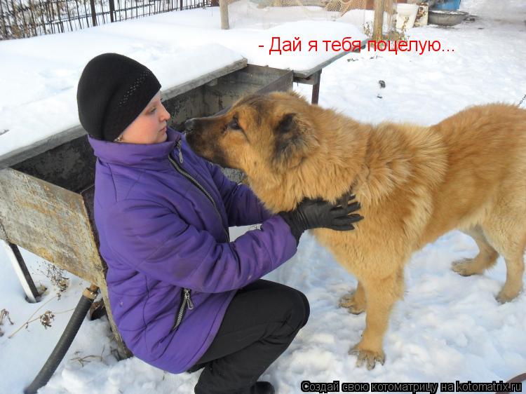 - Дай я тебя поцелую...... Котоматрица: - Дай я тебя поцелую...