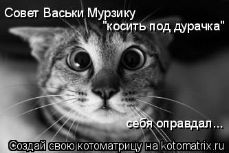 Совет Васьки Мурзику "косить под дурачка" себя оправдал...... Котоматрица: Совет Васьки Мурзику "косить под дурачка" себя оправдал...