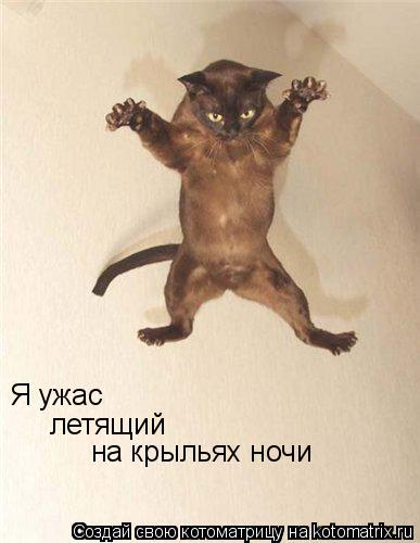 Я ужас летящий на крыльях ночи... Котоматрица: Я ужас летящий на крыльях ночи