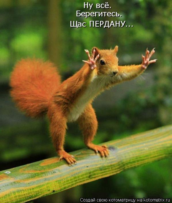 Ну всё. Ну всё. Берегитесь. Берегитесь. Щас ПЕРДАНУ...... Котоматрица: Ну всё. Ну всё. Берегитесь. Берегитесь. Щас ПЕРДАНУ...