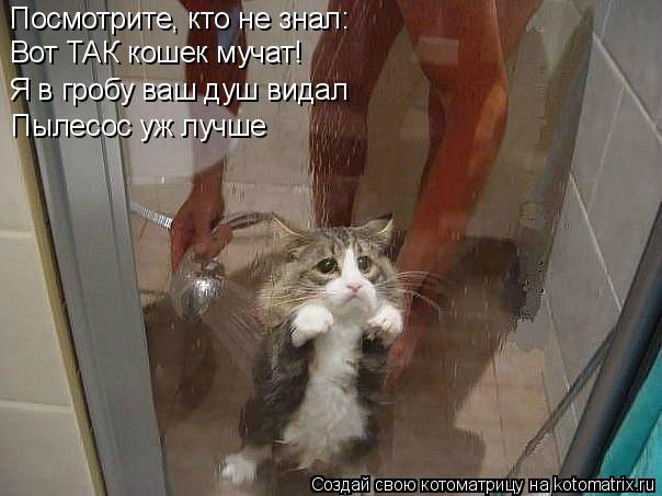 Посмотрите, кто не знал: Вот ТАК кошек мучат! Я в гробу ваш душ видал Пылесос уж лучше... Котоматрица: Посмотрите, кто не знал: Вот ТАК кошек мучат! Я в гробу ваш душ видал Пылесос уж лучше