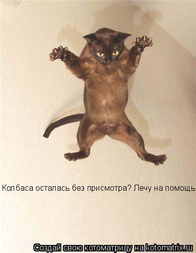 Колбаса осталась без присмотра? Лечу на помощь!... Котоматрица: Колбаса осталась без присмотра? Лечу на помощь!