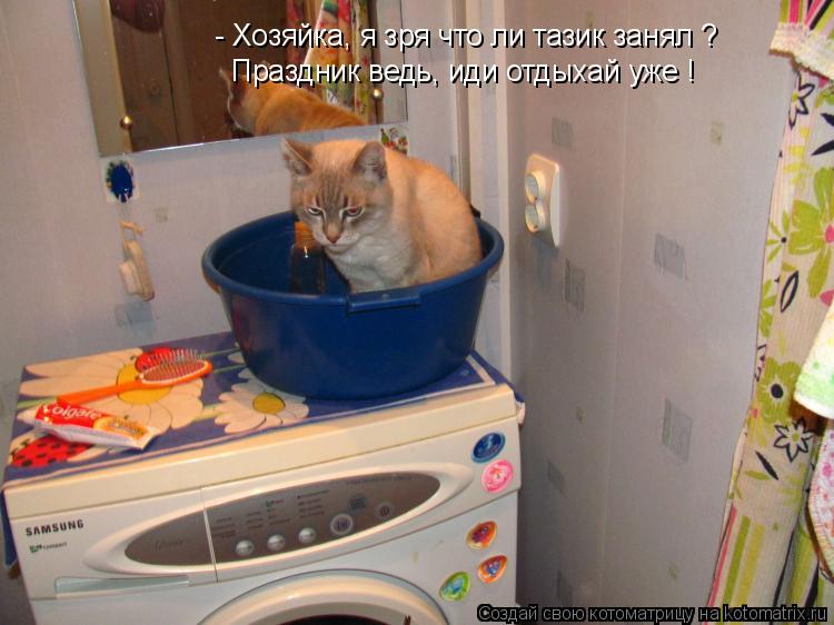 - Хозяйка, я зря что ли тазик занял ? Праздник ведь, иди отдыхай уже !... Котоматрица: - Хозяйка, я зря что ли тазик занял ? Праздник ведь, иди отдыхай уже !