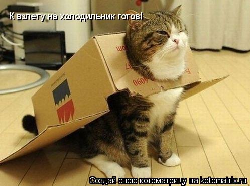 К взлету на холодильник готов!... Котоматрица: К взлету на холодильник готов!