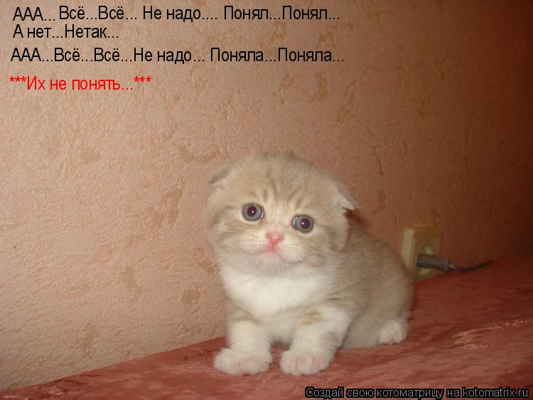 ААА... Всё...Всё... Не надо.... Понял...Понял... А нет...Нетак... ААА...Всё...Всё...Не надо... Поняла... Котоматрица: ААА... Всё...Всё... Не надо.... Понял...Понял... А нет...Нетак... ААА...Всё...Всё...Не надо... Поняла...Поняла... ***Их не понять...***