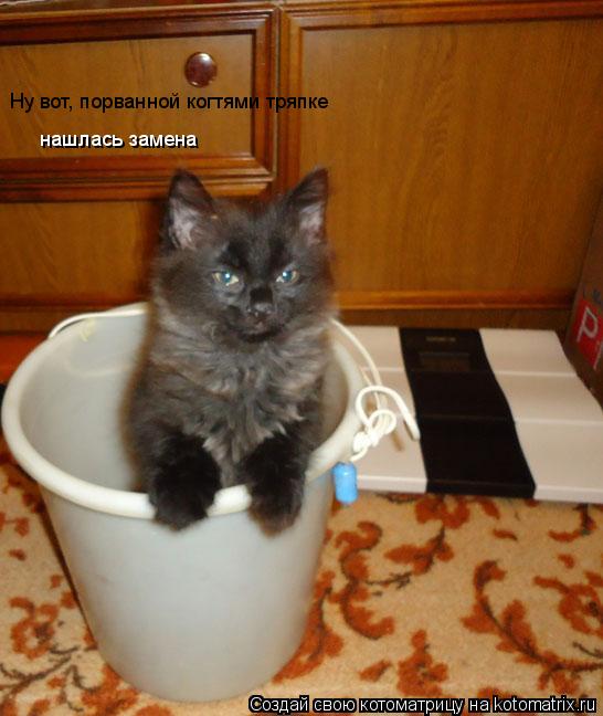 нашлась замена Ну вот, порванной когтями тряпке... Котоматрица: нашлась замена Ну вот, порванной когтями тряпке
