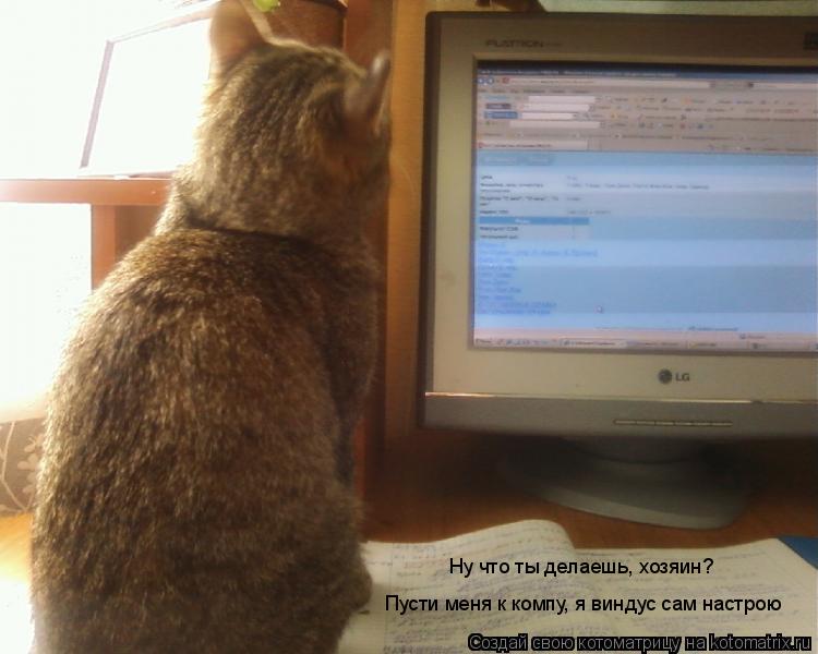 Ну что ты делаешь, хозяин? Пусти меня к компу, я виндус сам настрою... Котоматрица: Ну что ты делаешь, хозяин? Пусти меня к компу, я виндус сам настрою