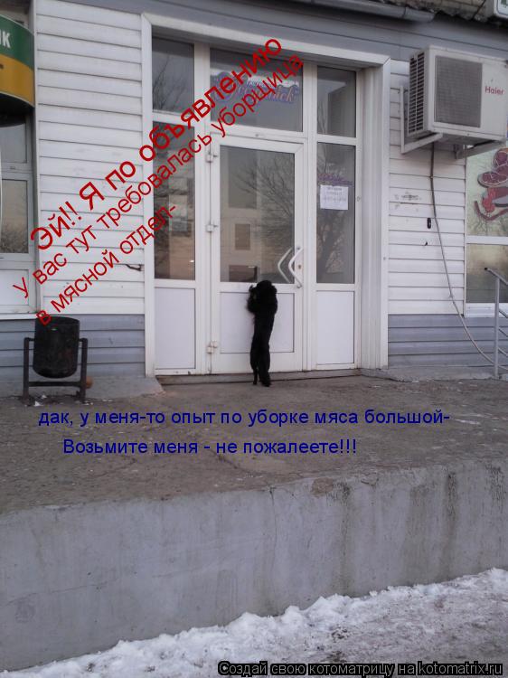Эй!! Я по объявлению У вас тут требовалась уборщица в мясной отдел- дак, у меня-то опыт по уборке мяс... Котоматрица: Эй!! Я по объявлению У вас тут требовалась уборщица в мясной отдел- дак, у меня-то опыт по уборке мяса большой- Возьмите меня - не пожалеете!!!