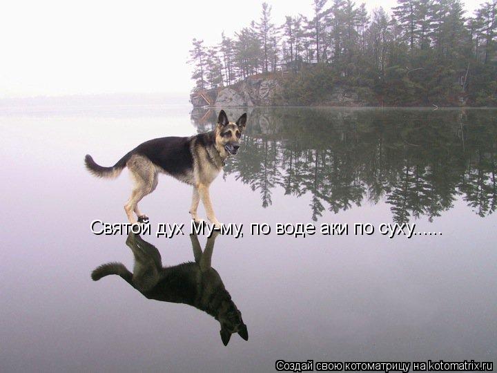 Святой дух Му-му, по воде аки по суху......... Котоматрица: Святой дух Му-му, по воде аки по суху......