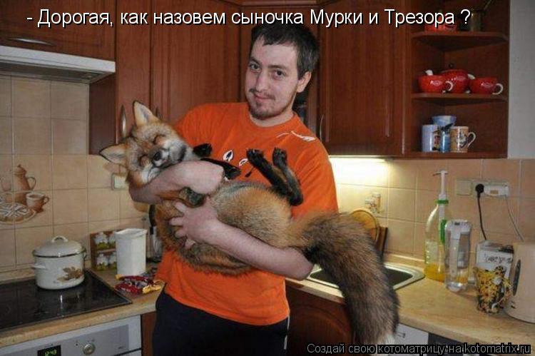- Дорогая, как назовем сыночка Мурки и Трезора ?... Котоматрица: - Дорогая, как назовем сыночка Мурки и Трезора ?