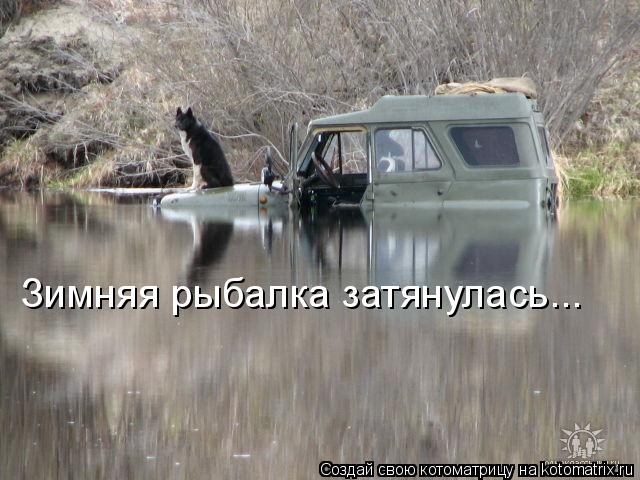 Зимняя рыбалка затянулась...... Котоматрица: Зимняя рыбалка затянулась...