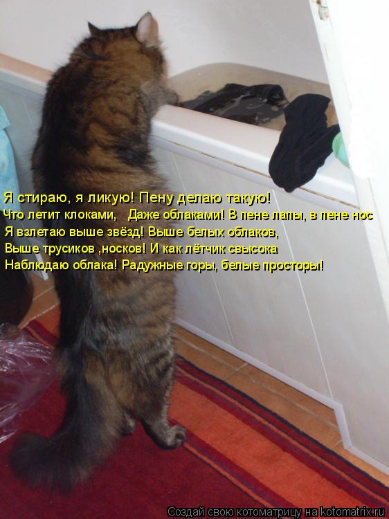 Я стираю, я ликую! Пену делаю такую! Что летит клоками, Даже облаками! В пене лапы, в пене нос Я вз... Котоматрица: Я стираю, я ликую! Пену делаю такую! Что летит клоками, Даже облаками! В пене лапы, в пене нос Я взлетаю выше звёзд! Выше белых облаков, Выше т