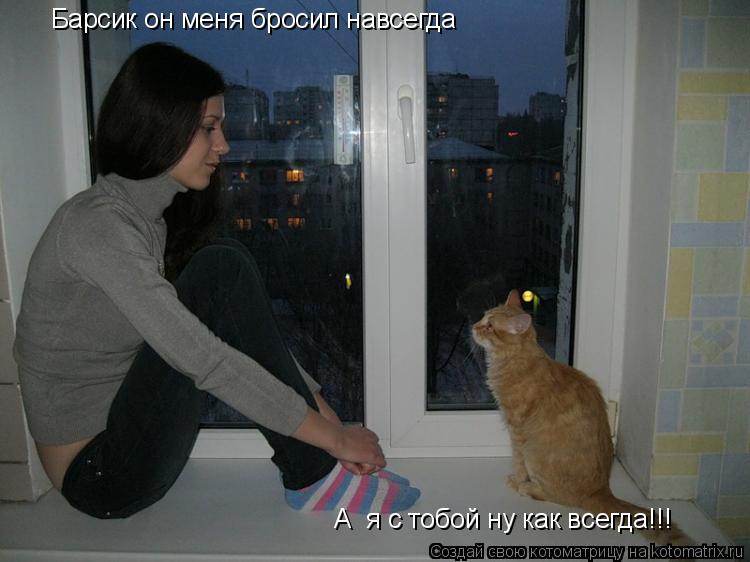 Котоматрица: Барсик он меня бросил навсегда А  я с тобой ну как всегда!!!