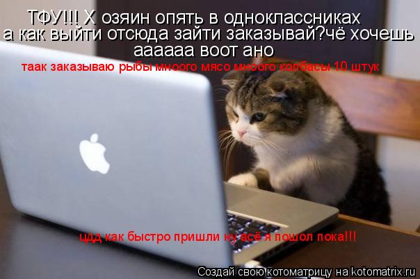 Котоматрица: ТФУ!!! Х озяин опять в одноклассниках а как выйти отсюда зайти заказывай?чё хочешь аааааа воот ано таак заказываю рыбы мноого мясо мноого ко