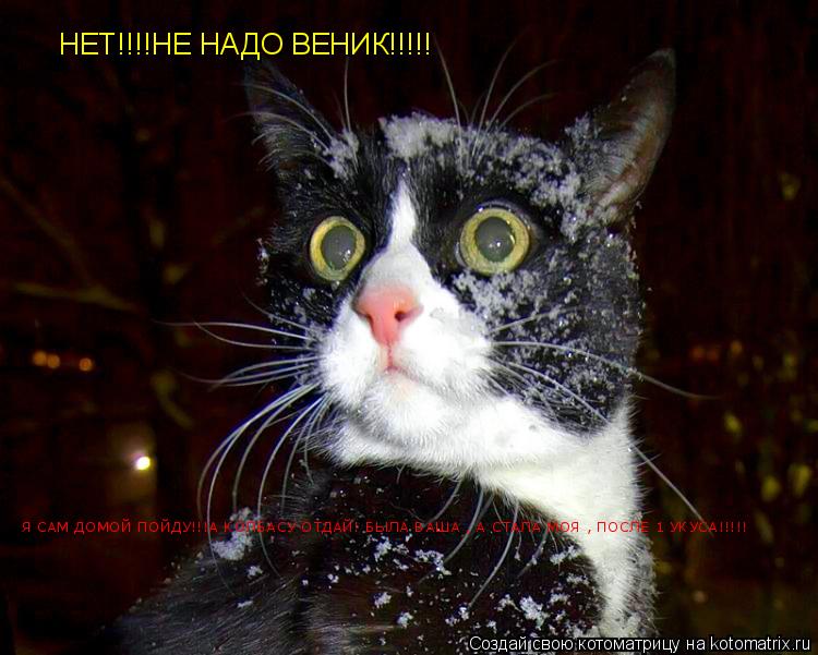 НЕТ!!!!НЕ НАДО ВЕНИК!!!!! Я САМ ДОМОЙ ПОЙДУ!!!А КОЛБАСУ ОТДАЙ! БЫЛА ВАША , А СТАЛА МОЯ , ПОСЛЕ 1 УКУС... Котоматрица: НЕТ!!!!НЕ НАДО ВЕНИК!!!!! Я САМ ДОМОЙ ПОЙДУ!!!А КОЛБАСУ ОТДАЙ! БЫЛА ВАША , А СТАЛА МОЯ , ПОСЛЕ 1 УКУСА!!!!!