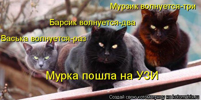 Васька волнуется-раз Барсик волнуется-два Мурзик волнуется-три Мурка пошла на УЗИ... Котоматрица: Васька волнуется-раз Барсик волнуется-два Мурзик волнуется-три Мурка пошла на УЗИ