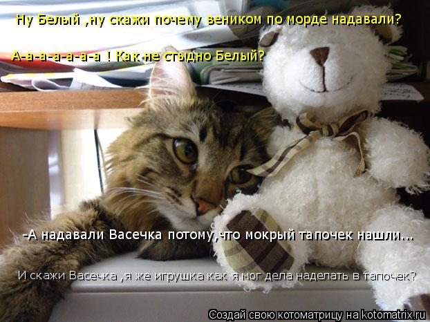 Котоматрица: Ну Белый ,ну скажи почему веником по морде надавали? Ну Белый ,ну скажи почему веником по морде надавали? -А надавали Васечка потому,что мокр