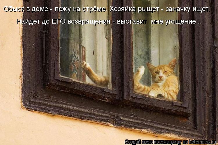 Обыск в доме - лежу на стрёме. Хозяйка рыщет - заначку ищет. Найдет до ЕГО возвращения - выставит м... Котоматрица: Обыск в доме - лежу на стрёме. Хозяйка рыщет - заначку ищет. Найдет до ЕГО возвращения - выставит мне угощение...