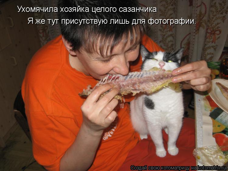 Котоматрица: Ухомячила хозяйка целого сазанчика Я же тут присутствую лишь для фотографии.