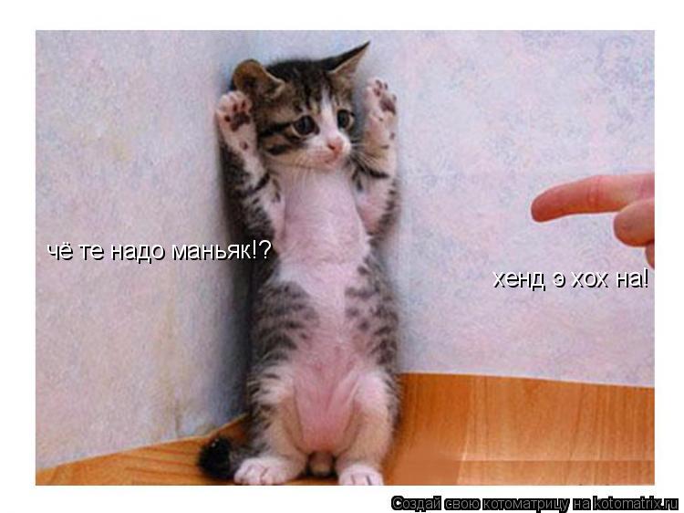 Котоматрица: хенд э хох на! чё те надо маньяк!?