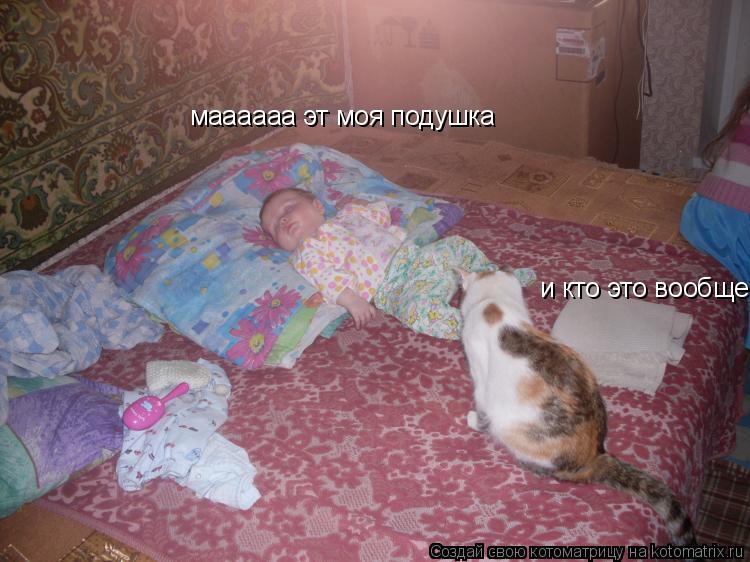 Котоматрица: маааааа эт моя подушка и кто это вообще