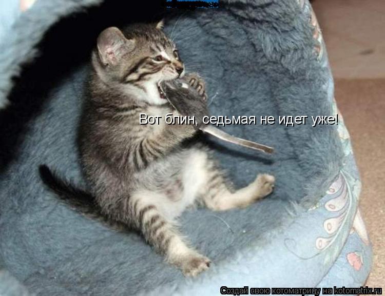 Котоматрица: Вот блин, седьмая не идет уже!