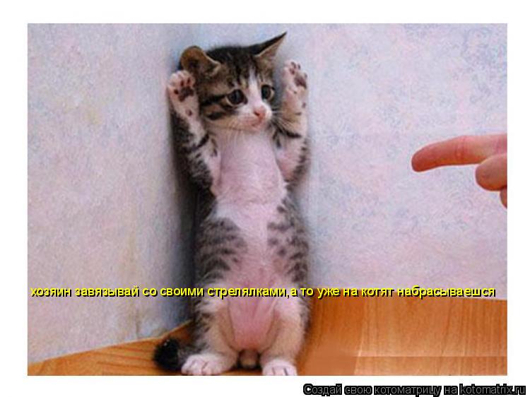 Котоматрица: хозяин завязывай со своими стрелялками,а то уже на котят набрасываешся