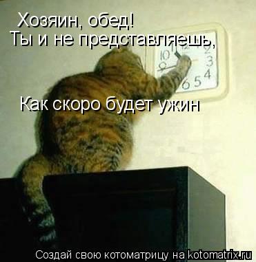 Хозяин, обед! Ты и не представляешь, Как скоро будет ужин... Котоматрица: Хозяин, обед! Ты и не представляешь, Как скоро будет ужин