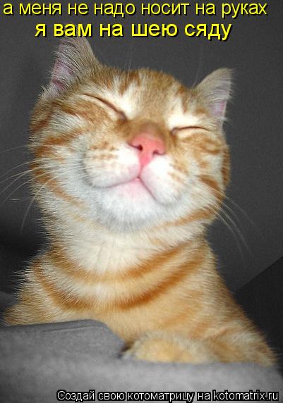 а меня не надо носит на руках я вам на шею сяду... Котоматрица: а меня не надо носит на руках я вам на шею сяду
