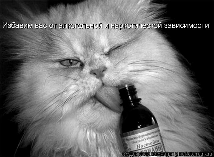 Избавим вас от алкогольной и наркотической зависимости... Котоматрица: Избавим вас от алкогольной и наркотической зависимости