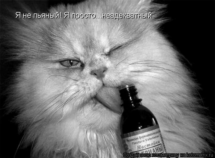 Я не пьяный! Я просто...неадекватный... Котоматрица: Я не пьяный! Я просто...неадекватный