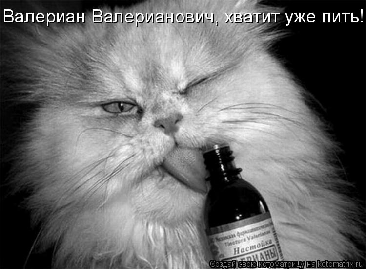 Валериан Валерианович, хватит уже пить!... Котоматрица: Валериан Валерианович, хватит уже пить!