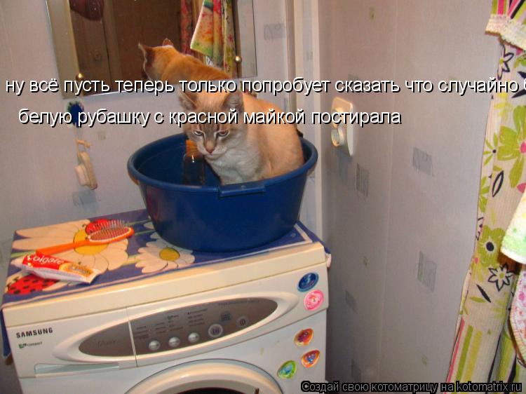 ну всё пусть теперь только попробует сказать что случайно белую рубашку с красной майкой постирала ... Котоматрица: ну всё пусть теперь только попробует сказать что случайно белую рубашку с красной майкой постирала белую рубашку с красной майкой постир