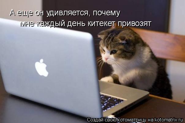 А еще он удивляется, почему мне каждый день китекет привозят... Котоматрица: А еще он удивляется, почему мне каждый день китекет привозят