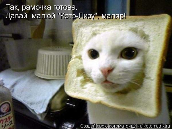 Так, рамочка готова. Давай, малюй "Котэ-Лизу", маляр!... Котоматрица: Так, рамочка готова. Давай, малюй "Котэ-Лизу", маляр!