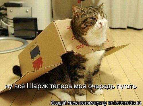 ну всё Шарик теперь моя очередь пугать... Котоматрица: ну всё Шарик теперь моя очередь пугать