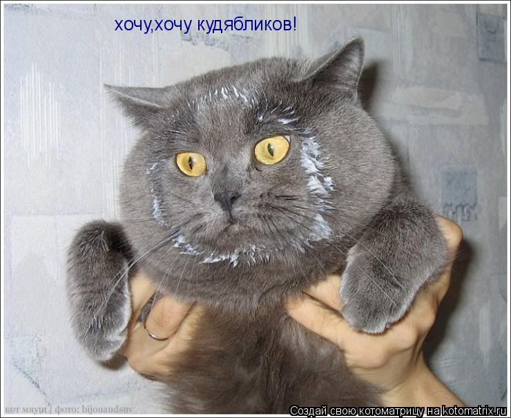 xочу,хочу кудябликов!... Котоматрица: xочу,хочу кудябликов!