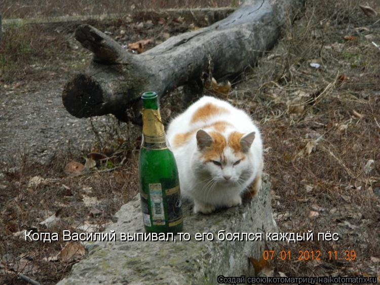Когда Василий выпивал,то его боялся каждый пёс... Котоматрица: Когда Василий выпивал,то его боялся каждый пёс