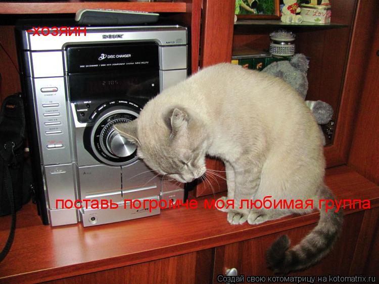 -хозяин поставь погромче моя любимая группа... Котоматрица: -хозяин поставь погромче моя любимая группа