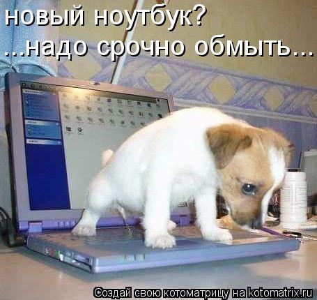 новый ноутбук? ...надо срочно обмыть...... Котоматрица: новый ноутбук? ...надо срочно обмыть...